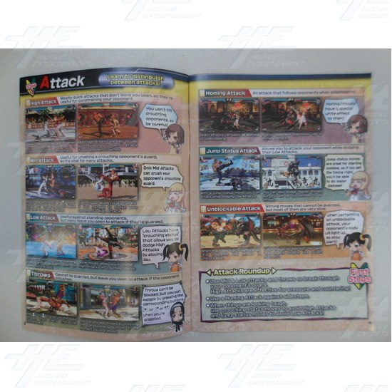 Tekken Tag 2 Tournament Player Instructions (Brand New) - Tekken Tag 2 Tournament Player Guide Inside View